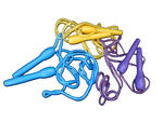 Auf dem Bild sind drei Sprungseile in den Farben blau, lila und gelb abgebildet.