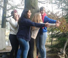 Vier Mädchen, welche bei einem Spiel um einen Baum stehen und nach etwas greifen, was nicht im Bild zu sehen ist.  