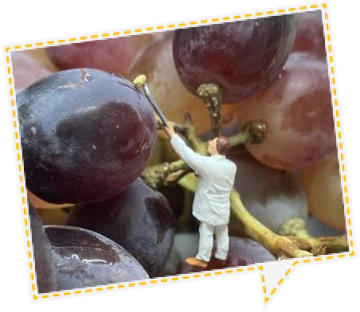 Minifigur auf Trauben